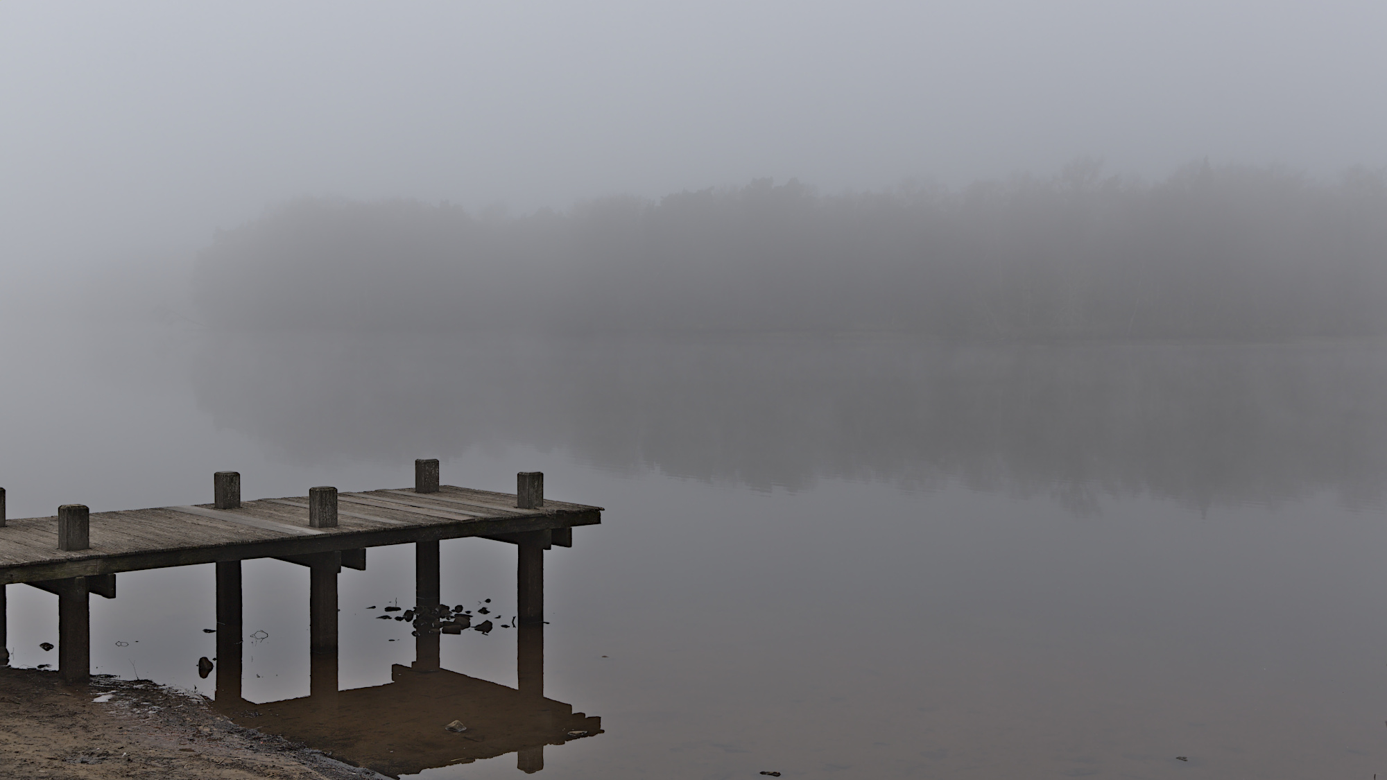 Thülsfelder Talsperre bei Nebel